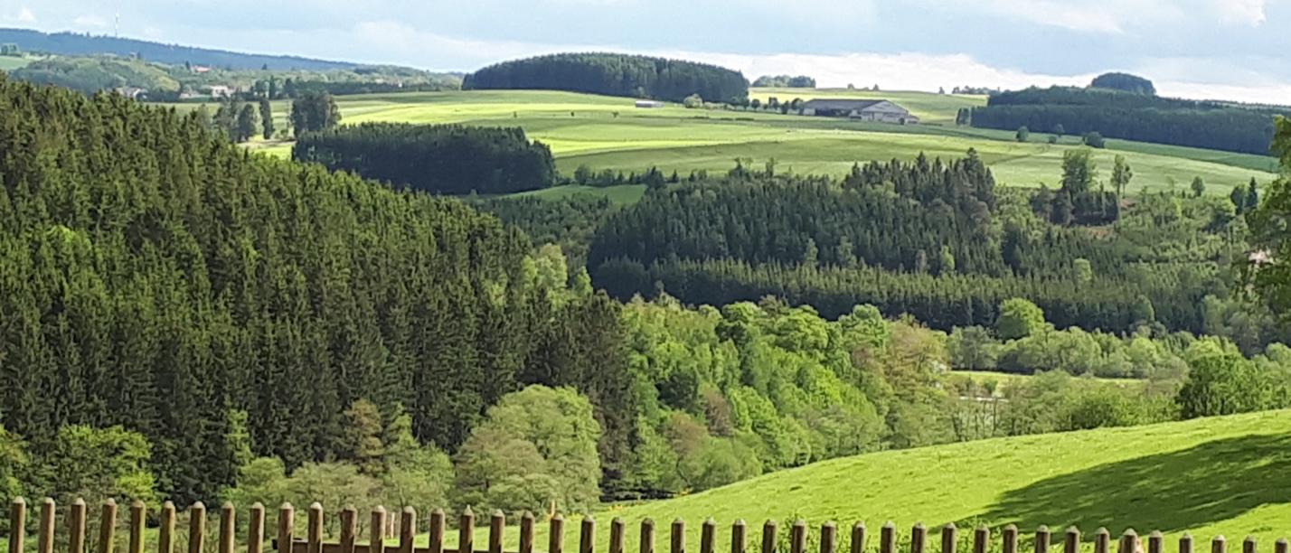 Blick über die Eifel