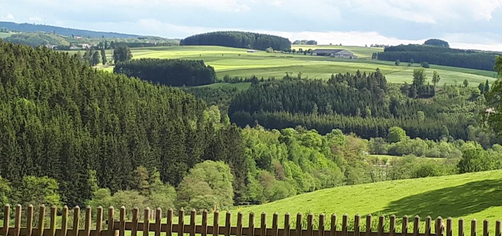 Blick über die Eifel