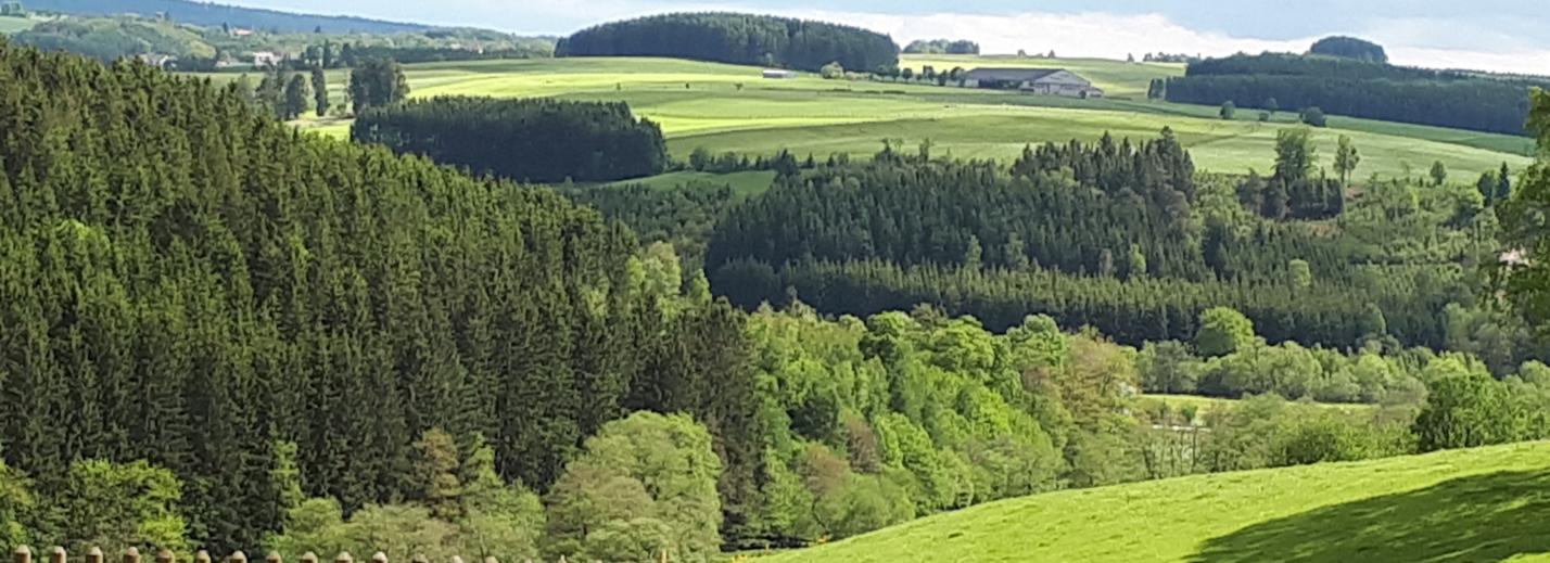 Blick über die Eifel