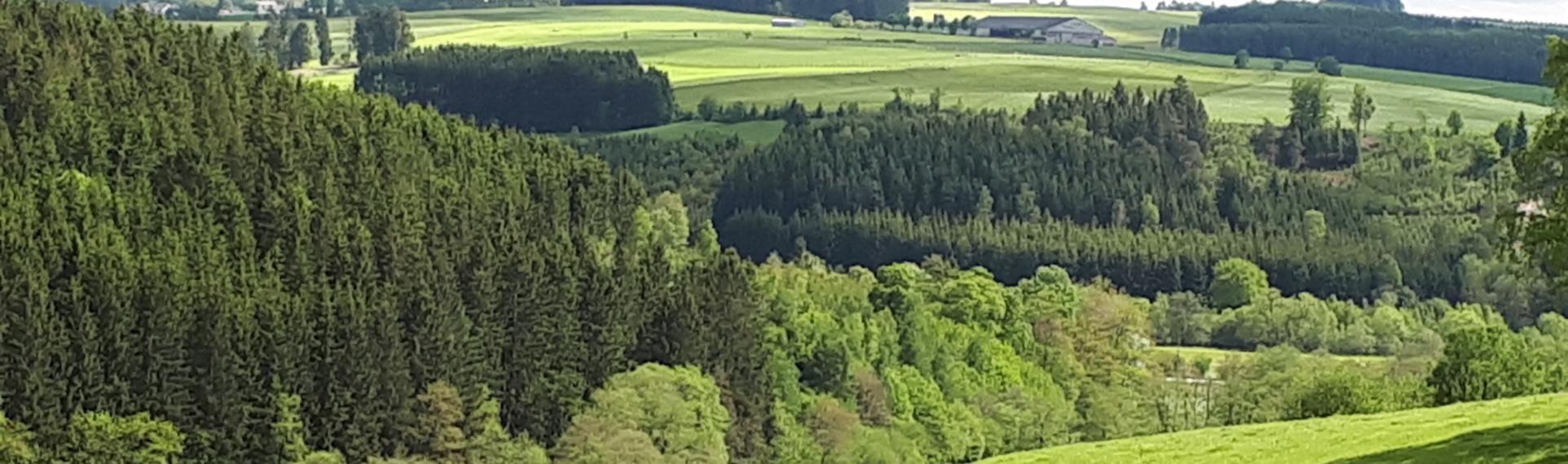 Blick über die Eifel