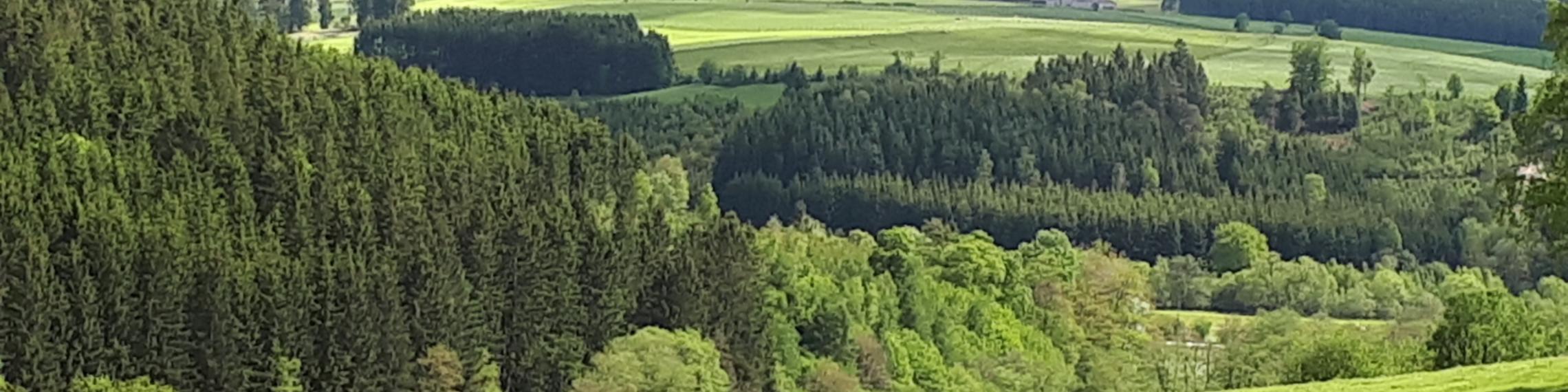 Blick über die Eifel