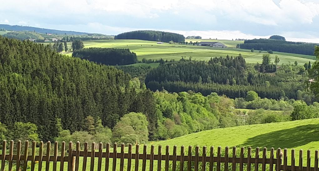 Blick über die Eifel