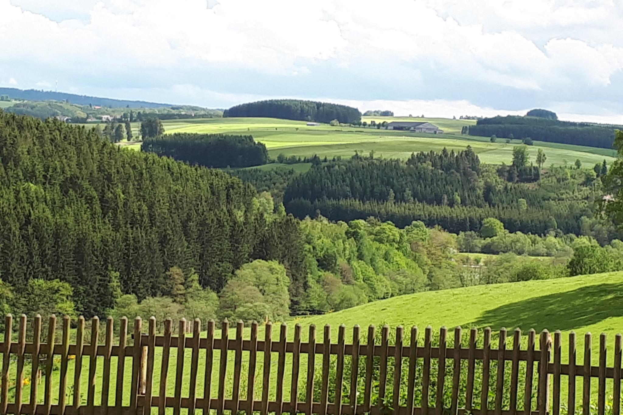 Blick über die Eifel