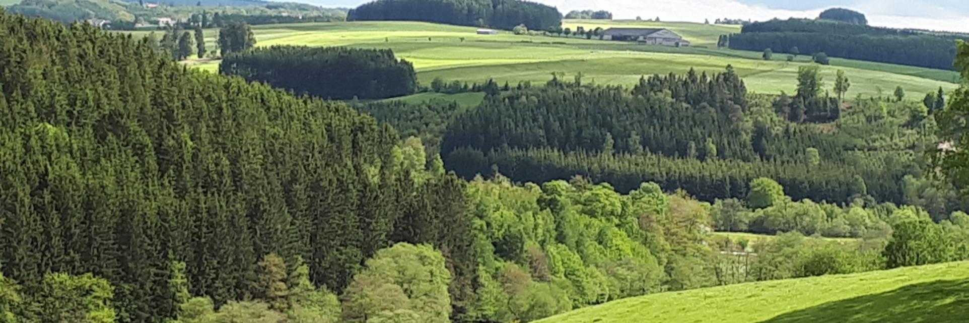 Blick über die Eifel