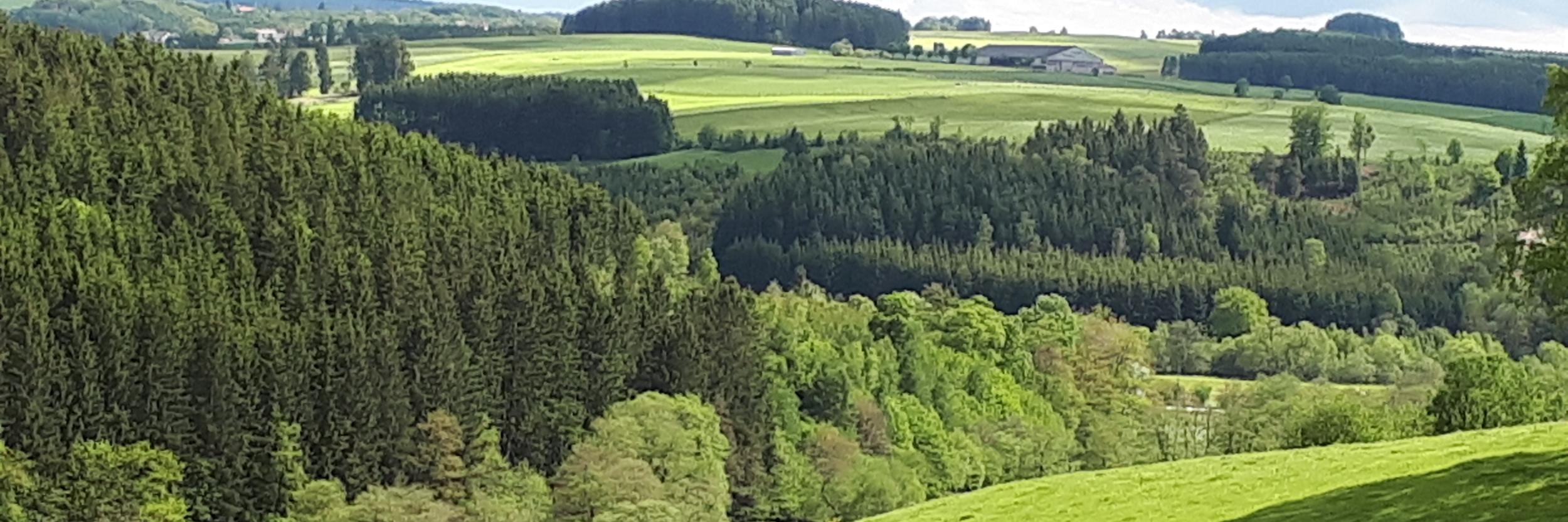Blick über die Eifel