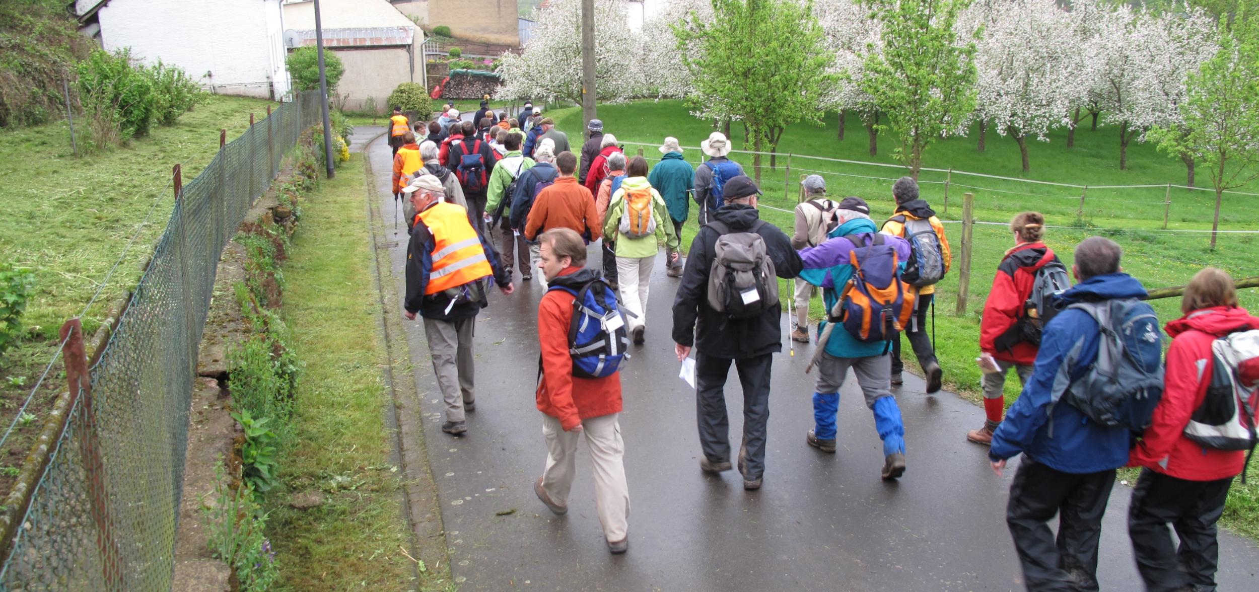 Auf dem Weg nach Trier