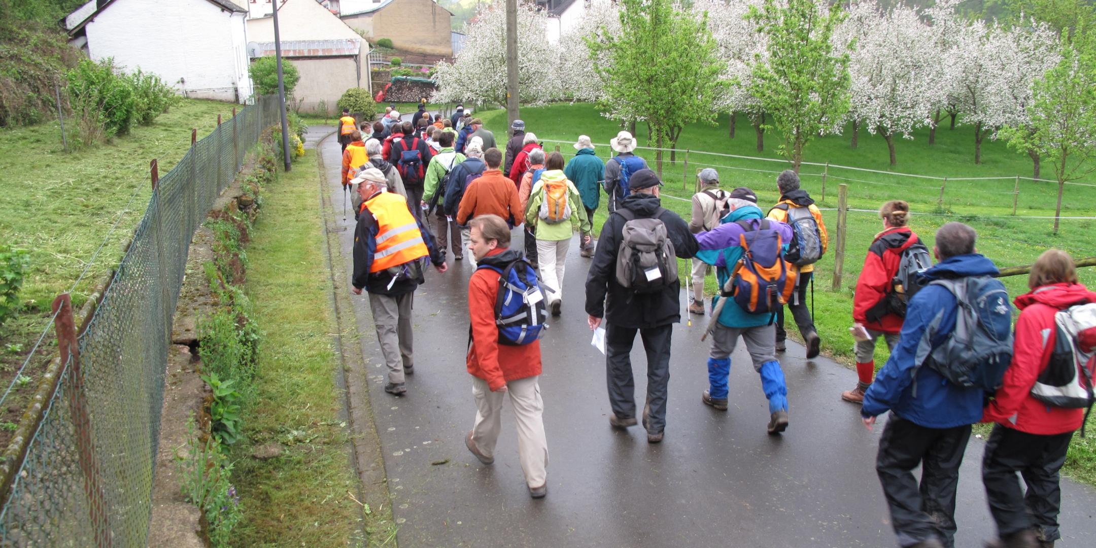 Auf dem Weg nach Trier