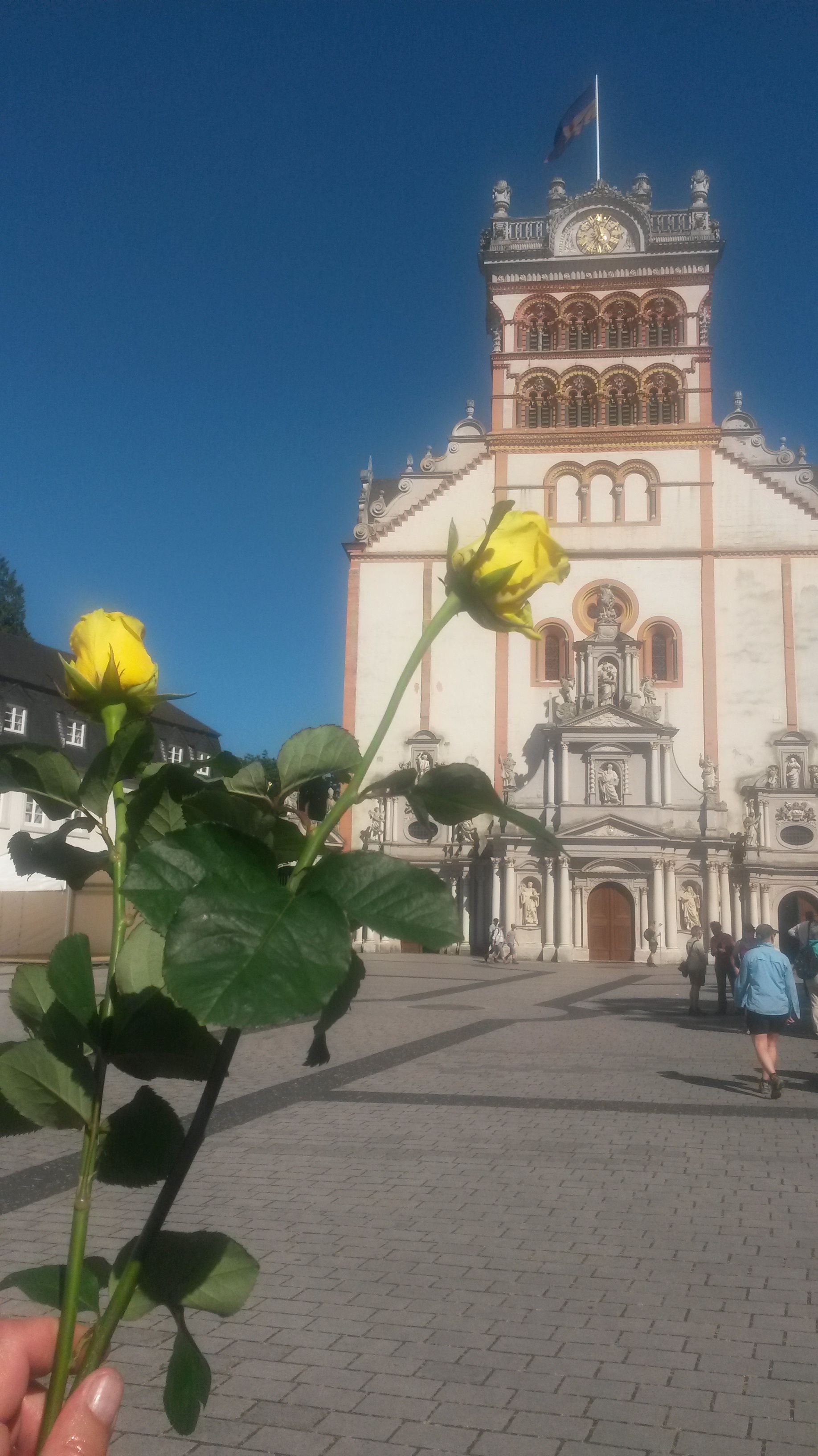 Rosenwallfahrt